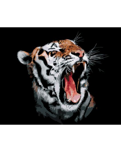 Malowanie po numerach - Ryk tygrysa