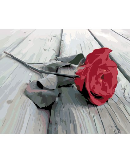 Malowanie po numerach - Czerwona róża