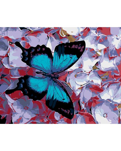 Malowanie po numerach - Niebieski motyl i hortensje