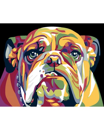 Malowanie po numerach - Kolorowy bulldog II