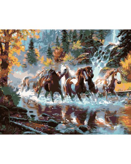 Malowanie po numerach - Stado koni galopujących przez rzekę