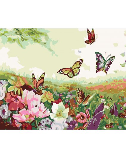 Malowanie po numerach - Pole motyli