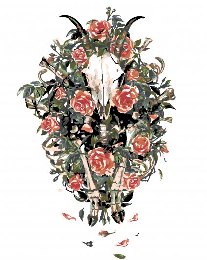 Malowanie po numerach - Kozia czaszka w różach