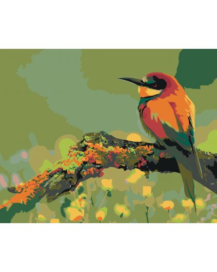Malowanie po numerach - Kolorowy ptaszek – koliber