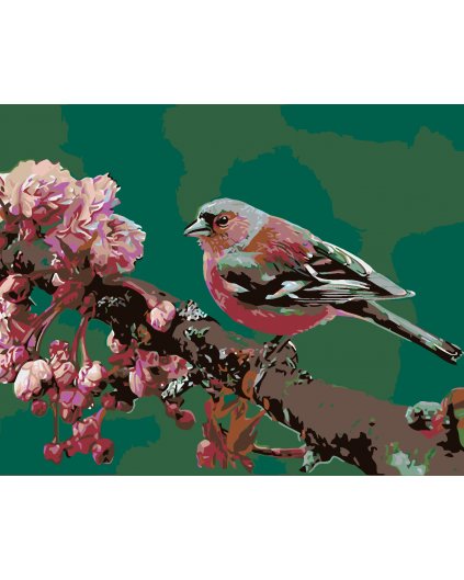 Malowanie po numerach - Ptaszek na kwitnacej wiśni