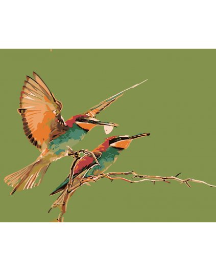 Malowanie po numerach - Dwa kolibry