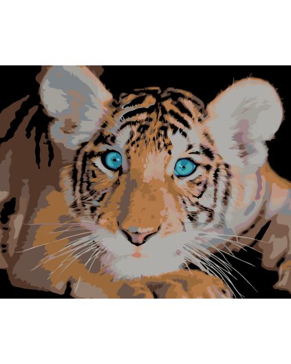 Malowanie po numerach - Niebieskooki tygrys