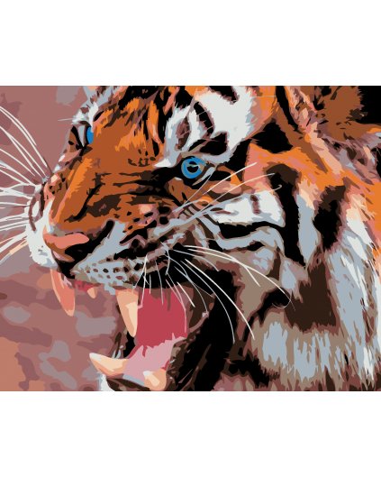 Malowanie po numerach -Niebieskooki tygrys