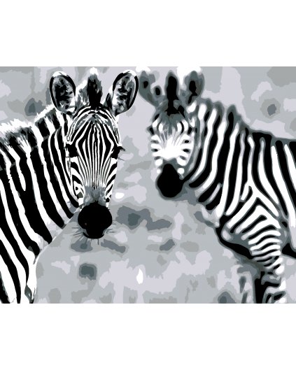 Malowanie po numerach - Zebry