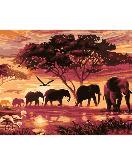Malowanie po numerach - Słonie na sawannie w zachodzie słońca