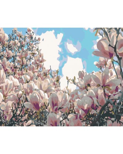 Malowanie po numerach - Kwitnące magnolie