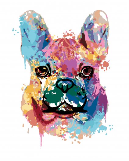 Malowanie po numerach - Malowany Bulldog