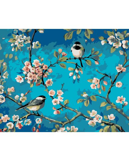 Malowanie po numerach - Dwa ptaki na kwitnącej jabłoni