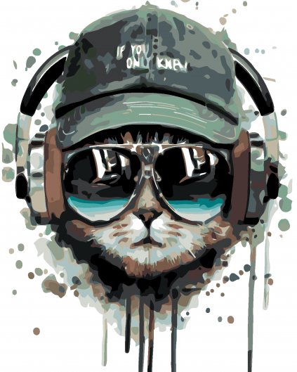 Malowanie po numerach - Kot ze słuchawkami