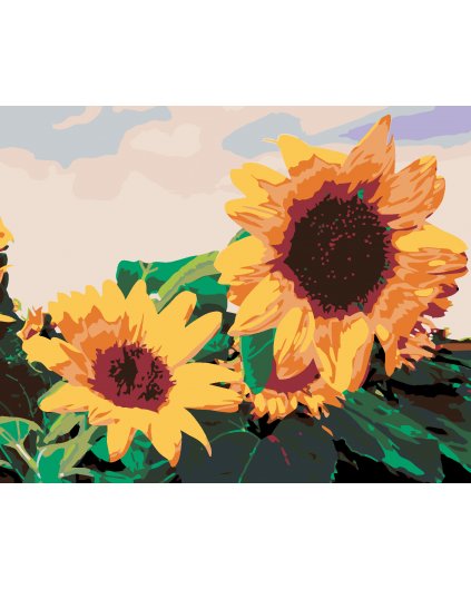 Malowanie po numerach - Słonecznik