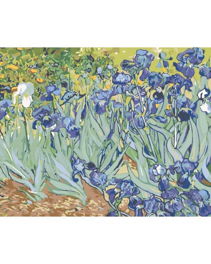 Malowanie po numerach - Irysy (Van Gogh)