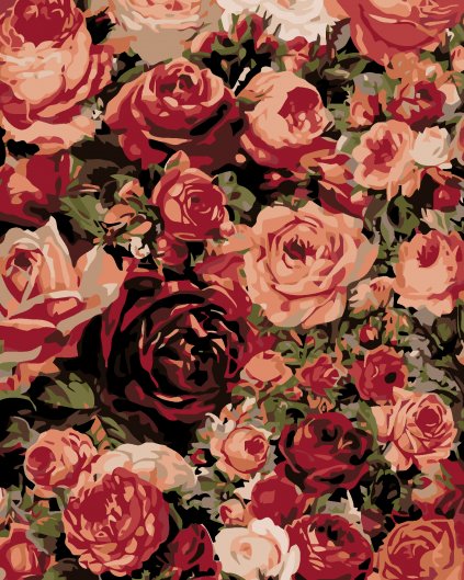 Malowanie po numerach - Róże, róże, róże