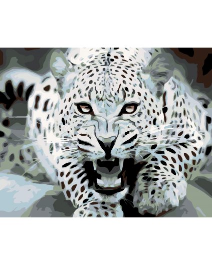 Malowanie po numerach - Czarno-biały leopard
