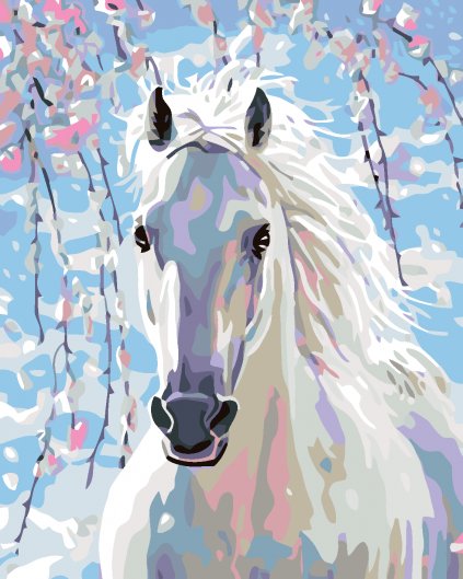 Malowanie po numerach - Biały koń