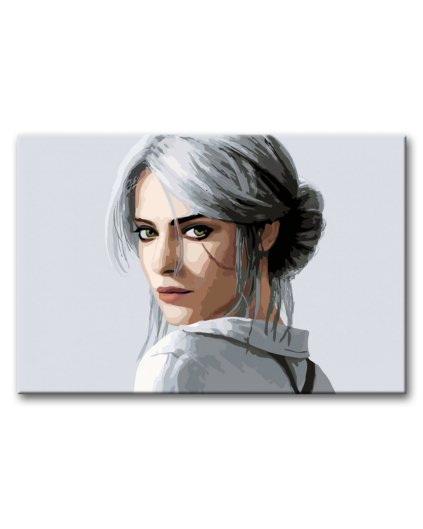 Malowanie po numerach - Wiedźmin - Ciri 2
