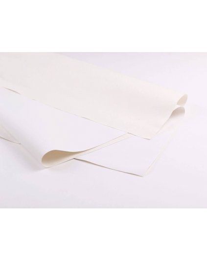 PŁÓTNO BEZ RAMY (W RULONIE) 40x50 cm