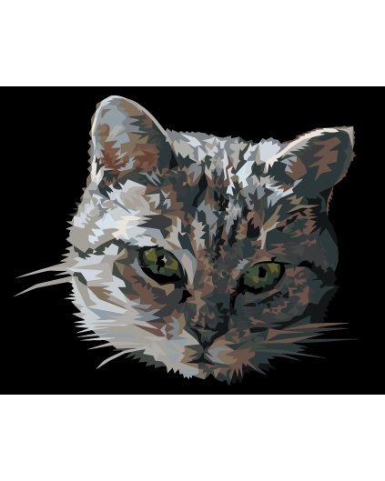 Malowanie po numerach - SZARY KOT - PORTRET