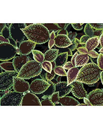 Malowanie po numerach - ZIELONO-CZERWONE LIŚCIE