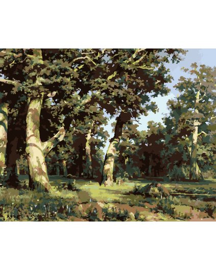 Malowanie po numerach - LAS DĘBOWY (IVAN SHISHKIN)