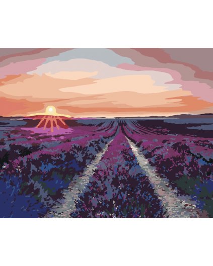 Malowanie po numerach - LAWENDOWE POLA I ZACHÓD SŁOŃCA