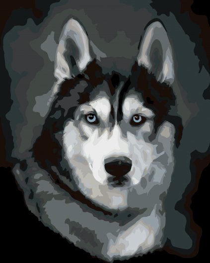 Malowanie po numerach - HUSKY - PORTRET