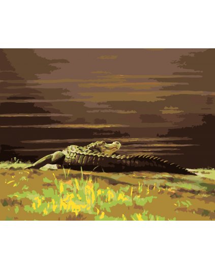 Malowanie po numerach - ALIGATOR LEŻĄCY NAD WODĄ III (D. RUSTY RUST)