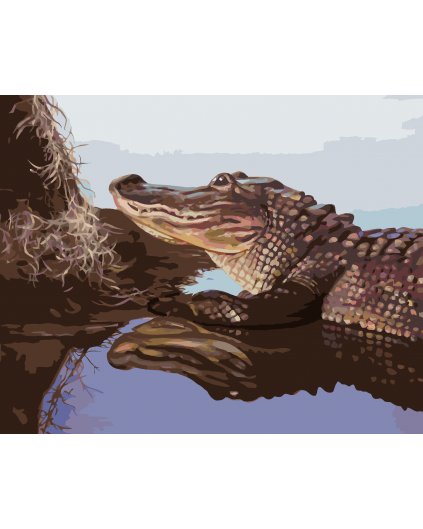 Malowanie po numerach - ALIGATOR PRZY KŁODZIE W WODZIE (D. RUSTY RUST)