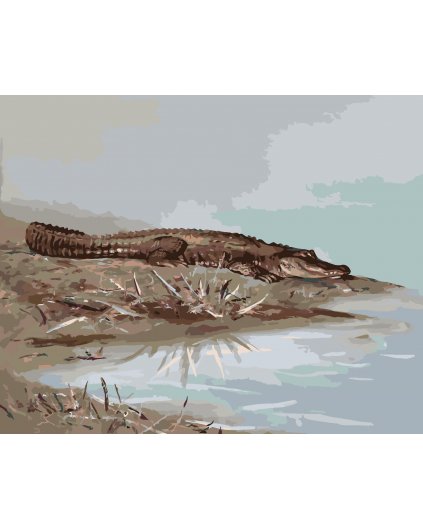 Malowanie po numerach - ALIGATOR LEŻĄCY NAD WODĄ (D. RUSTY RUST)