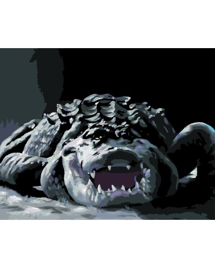 Malowanie po numerach - ALIGATOR W CIEMNOŚCI (D. RUSTY RUST)