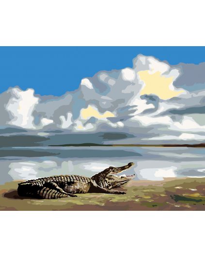 Malowanie po numerach - LEŻĄCY ALIGATOR I NIEBO (D. RUSTY RUST)