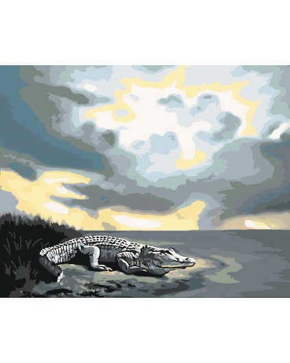 Malowanie po numerach - ALIGATOR NAD WODĄ I CHMURY (D. RUSTY RUST)
