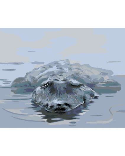 Malowanie po numerach - ALIGATOR W WODZIE (D. RDZA RDZAWA)