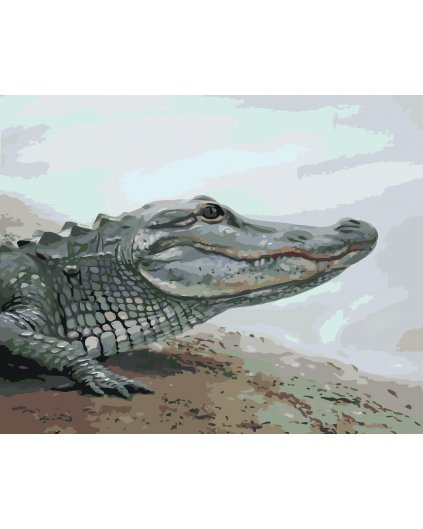 Malowanie po numerach - ALIGATOR NAD WODĄ (D. RUSTY RUST)
