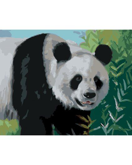 Malowanie po numerach - PANDA (D. RUSTY RUST) (Wariant płótno bez ramy, Rozmiar 40x50 cm)