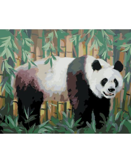 Malowanie po numerach - PANDA I BAMBUS (D. RUSTY RUST)
