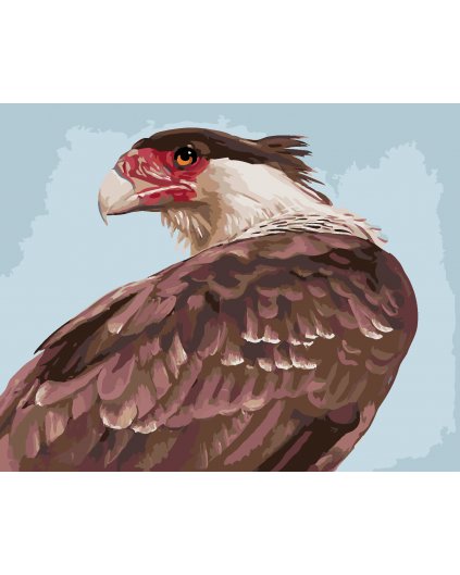 Malowanie po numerach - PORTRET SĘPA (D. RUSTY RUST)