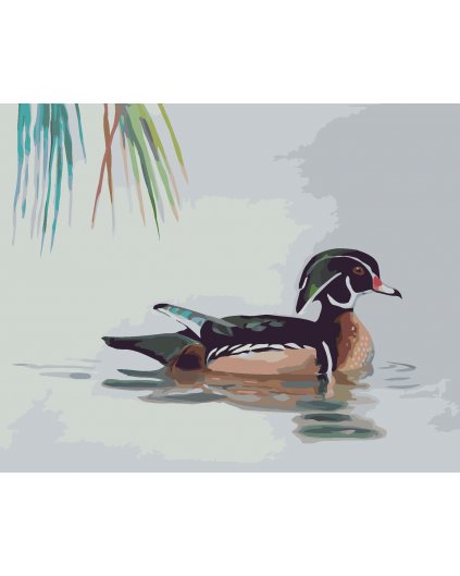 Malowanie po numerach - KACZKA NA WODZIE (D. RUSTY RUST)