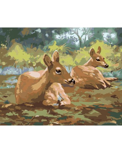 Malowanie po numerach - LEŻĄCE SARENKI (D. RUSTY RUST)