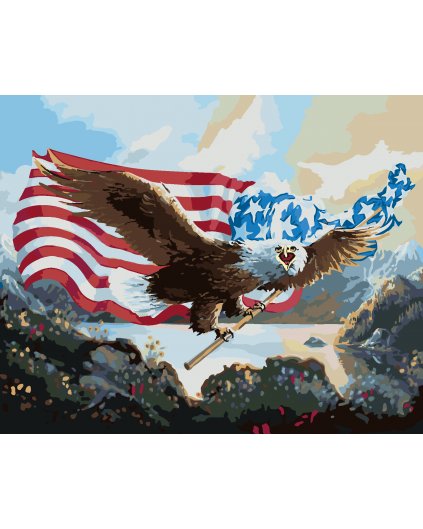 Malowanie po numerach - ORZEŁ Z FLAGĄ USA ( (D. RUSTY RUST)