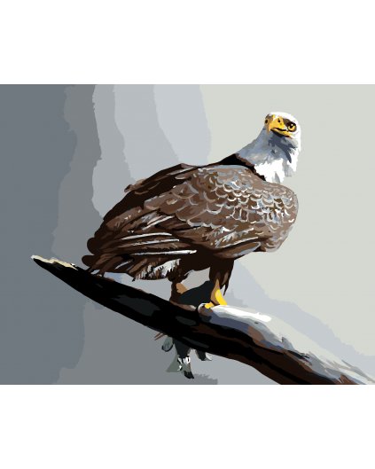 Malowanie po numerach - ORZEŁ NA SZARYM TLE (D. RUSTY RUST)