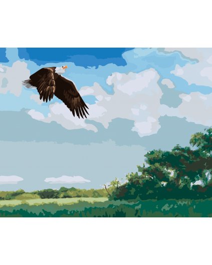 Malowanie po numerach - LECĄCY ORZEŁ (D. RUSTY RUST)