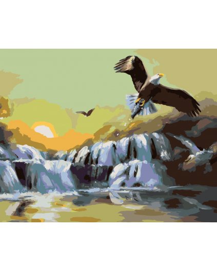 Malowanie po numerach - POLUJĄCY ORZEŁ (D. RUSTY RUST)