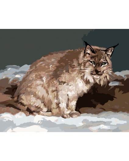Malowanie po numerach - RYŚ W ZIMIE (D. RUSTY RUST)