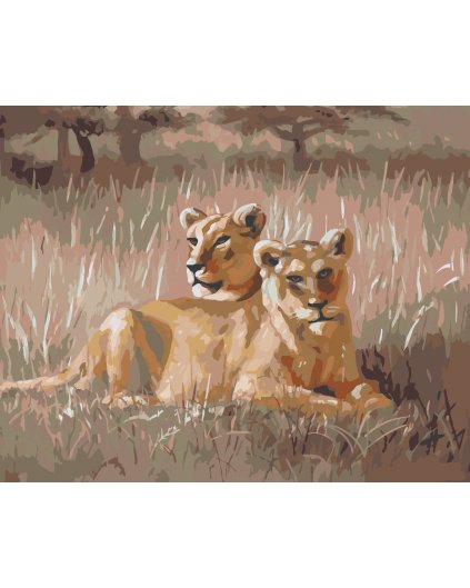 Malowanie po numerach - ODPOCZYWAJĄCY LEW (D. RUSTY RUST)