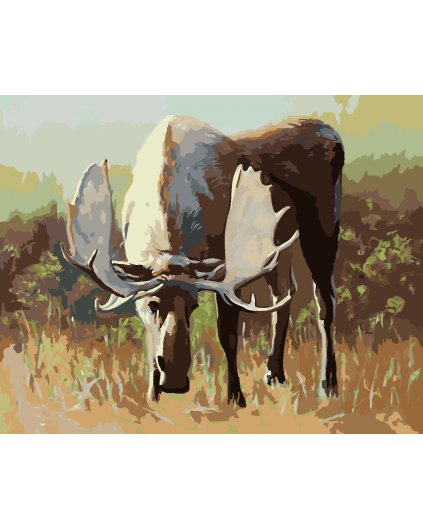 Malowanie po numerach - SAMOTNY ŁOŚ NA PASTWISKU (D. RUSTY RUST)